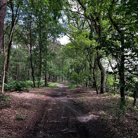 아파트 Papenvoortseheide 뉴넨