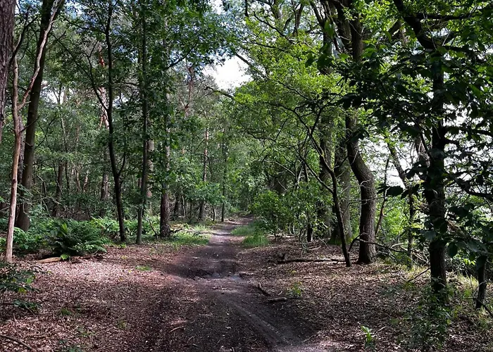 شقة Papenvoortseheide نوينين