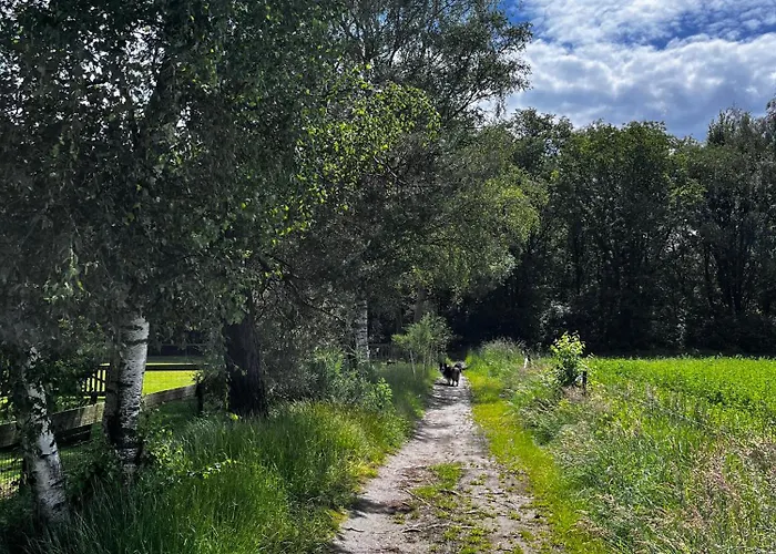 شقة Papenvoortseheide *